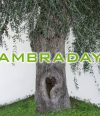 AMBRA DAY – San Teodoro