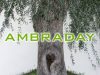 AMBRA DAY – San Teodoro
